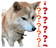 839035941