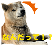 839035952