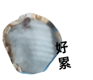 839036012