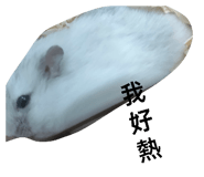 839036015