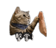 839036065