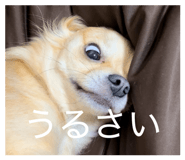 839036229