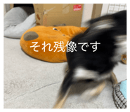 839036234