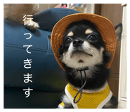 839036248