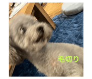839036413
