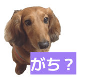 839038254