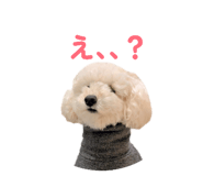 839039090