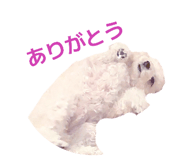 839039091