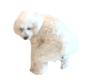 839039092