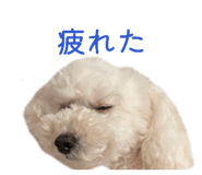 839039094