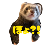 839039188