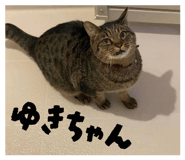 839039385