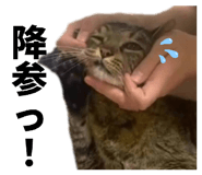 839039415