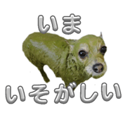 839039771