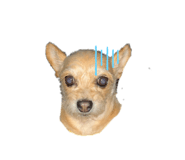 839039774