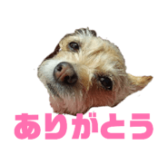 839039776