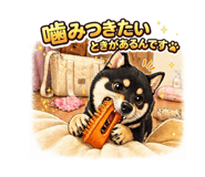 839040004
