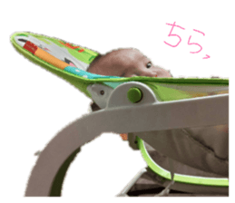 839040670