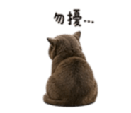 839040784