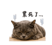 839040792