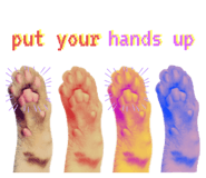 839040793