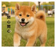 839040872