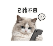 839041267