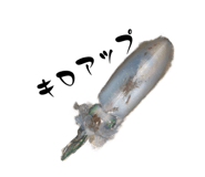 839041782