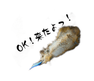 839041784