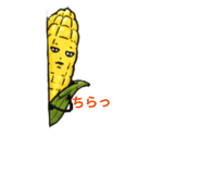 839041978