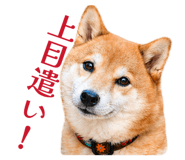 839042164