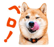 839042165