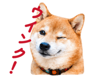 839042167