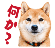 839042168