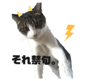 839042258