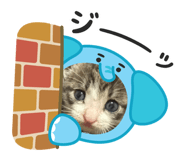 839042261