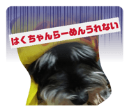 839042436