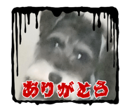 839042438