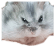 839042475