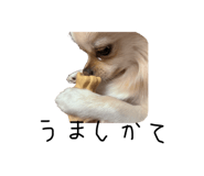839042732