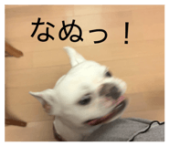 839042808