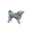 839044619