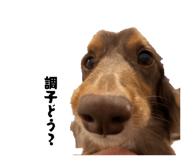 839046365