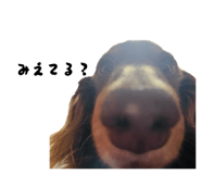 839046370