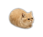 839046632