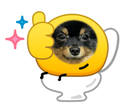 839047517