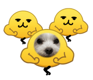 839047528
