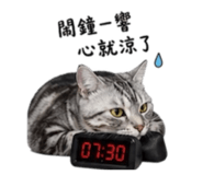 839047897