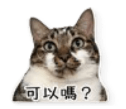 839047981
