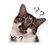 839047983